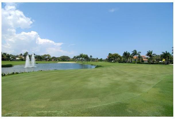 2225 Areca Palm Road Boca Raton, FL 33432 - Photo 16 of 16