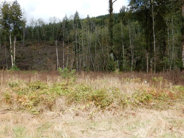 5 Kalama River Road Kalama, WA 98625 - Photo 2 of 8 Gallery Image 2