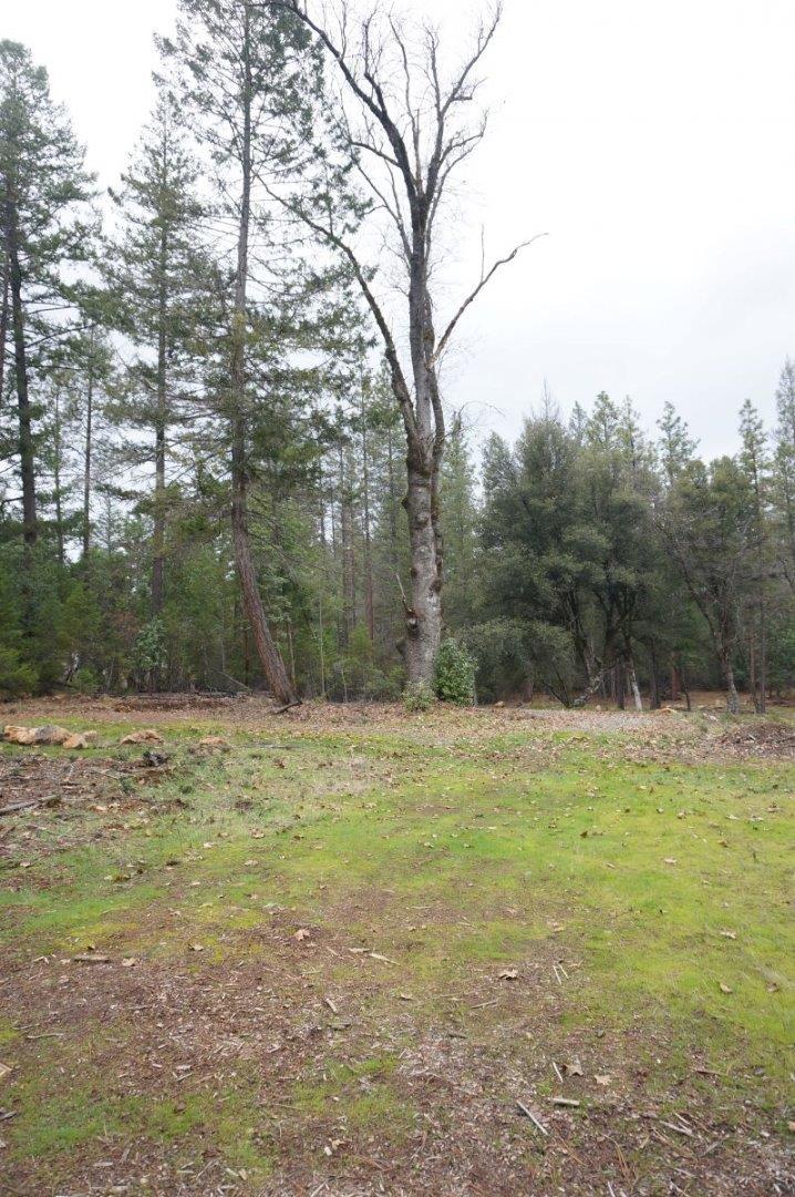 430 Senger Road Junction City, CA 96048 - Photo 8 of 23 Gallery Image 8