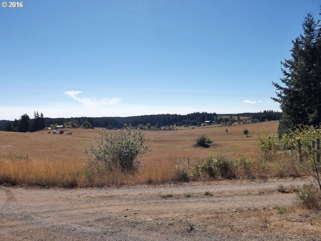 Pyatt Road White Salmon, WA 98672 - Photo 12 of 15