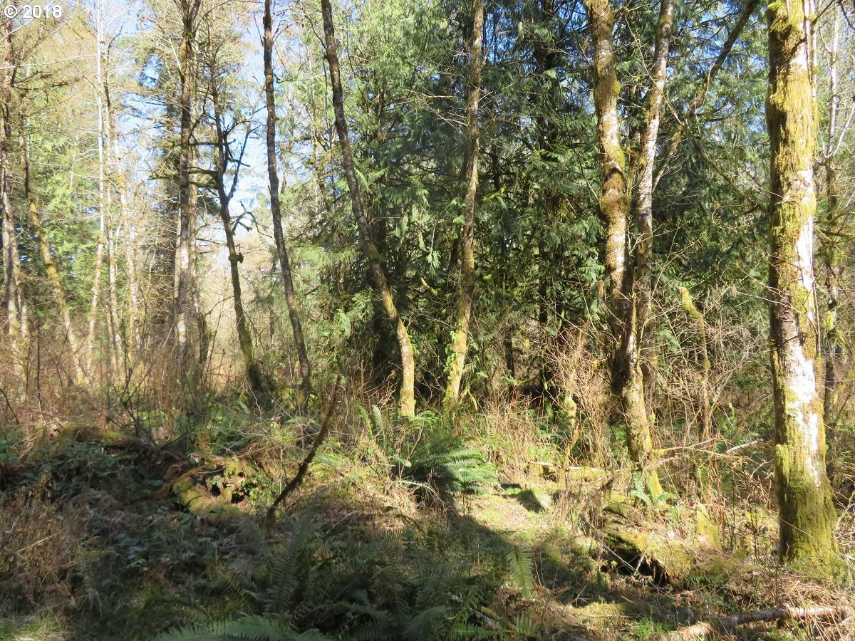 East Benson Loop Road Shelton, WA 98584 - Photo 20 of 27 Gallery Image 20