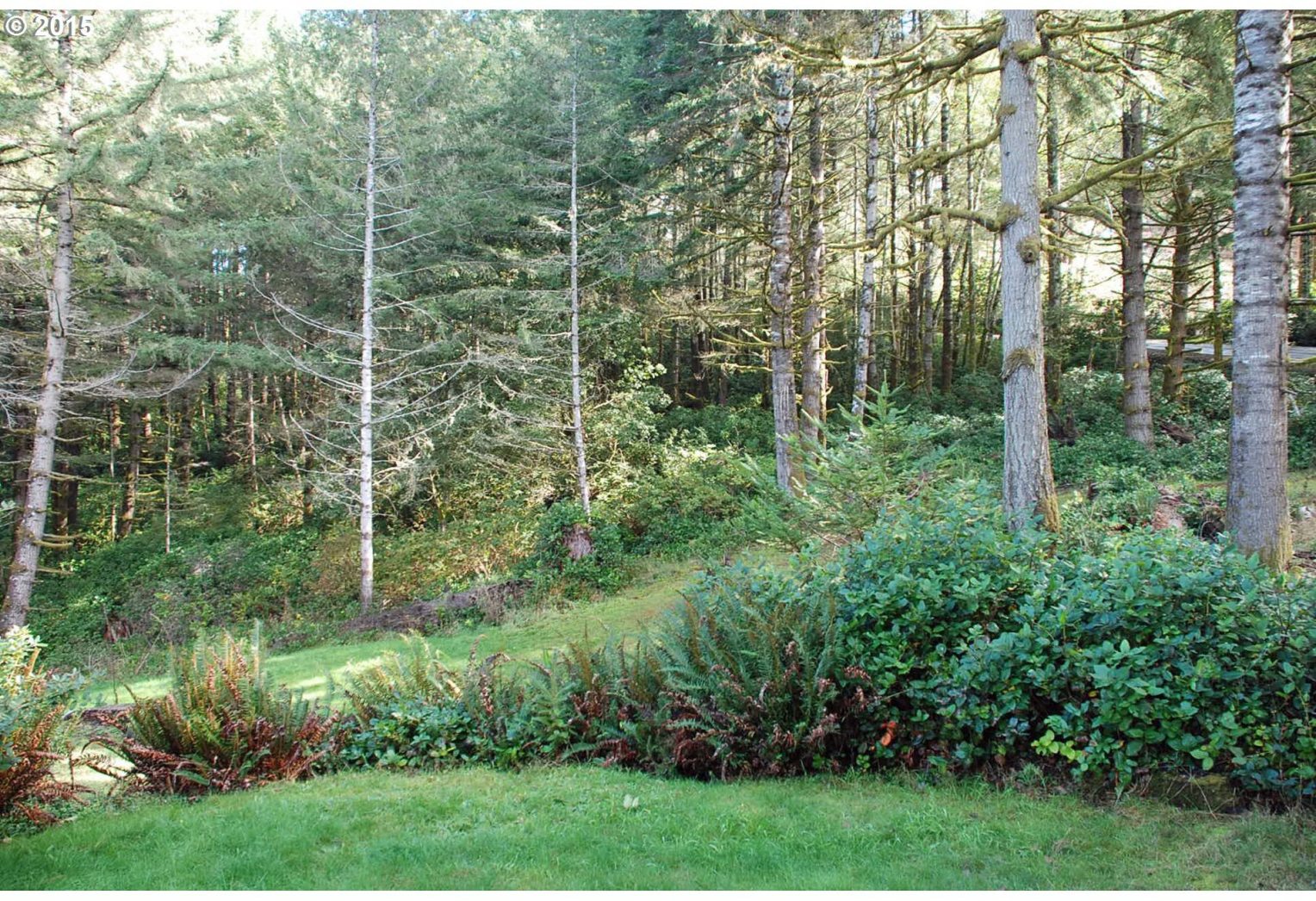 96015 Eggers Road Brookings, OR 97415 - Photo 29 of 30 Gallery Image 29