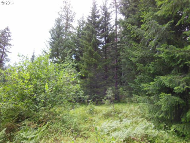 Martin Road Trout Lake, WA 98650 - Photo 4 of 10 Gallery Image 4