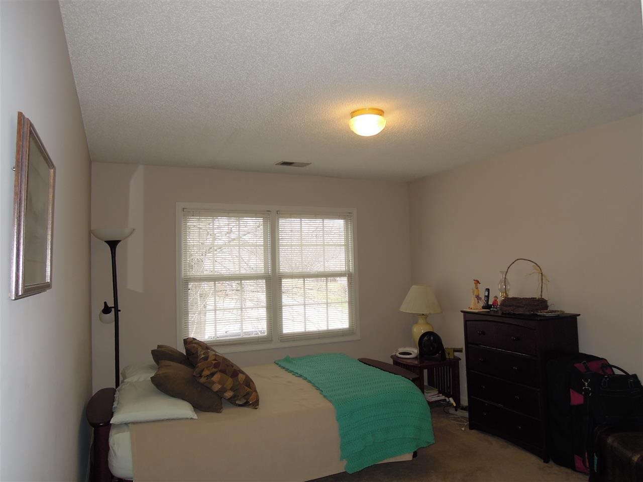 265 Spring Mill Road Collierville, TN 38017 - Photo 16 of 19