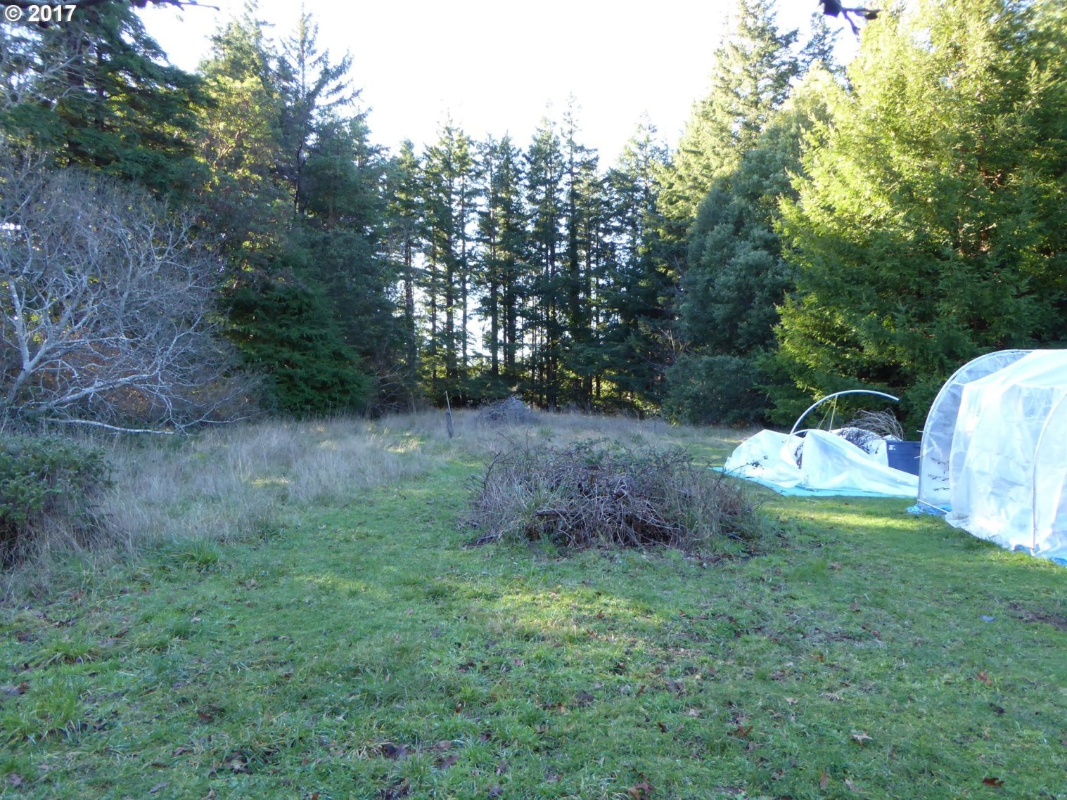 2727 Port Orford Loop Road Port Orford, OR 97465 - Photo 24 of 27 Gallery Image 24
