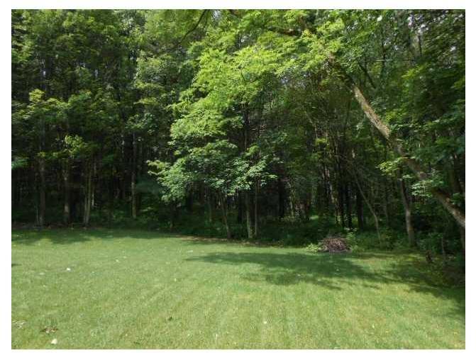 120 Spring Hollow Drive Apollo, PA 15613 - Photo 15 of 18 Gallery Image 15