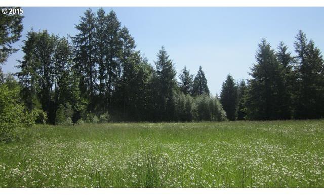 504 State Route Vader, WA 98593 - Photo 2 of 16