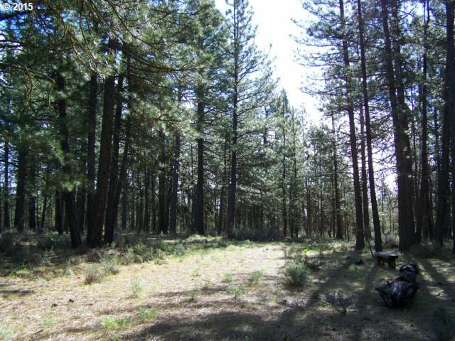 575 Corbett Road Goldendale, WA 98620 - Photo 4 of 7 Gallery Image 4