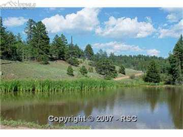 1125 Pinewood Road Florissant, CO 80816 - Photo 8 of 11 Gallery Image 8