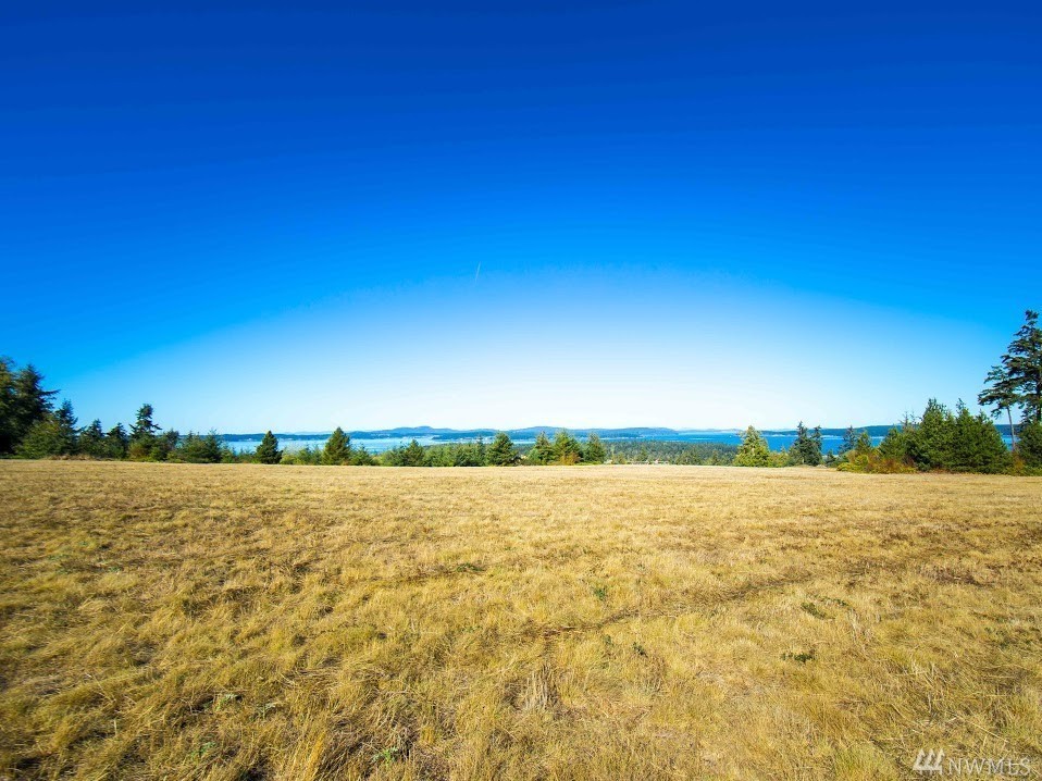 Dragon Run Road Lopez Island, WA 98261 - Photo 9 of 25
