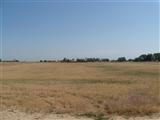 8635 East Wilson Road Bakersfield, CA 93307 - Photo 10 of 10 Gallery Image 10