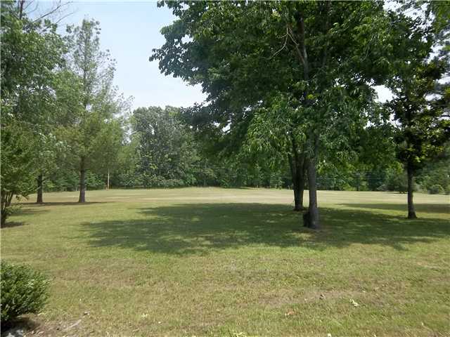 12635 Coburn Road Eads, TN 38028 - Photo 10 of 12 View of the front yard from the home. Home sits 10 acres off the road.