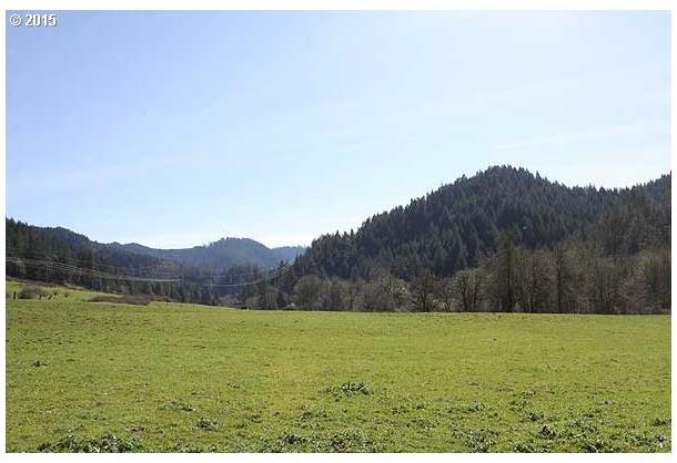801 Frozen Creek Road Myrtle Creek, OR 97457 - Photo 4 of 15 Gallery Image 4