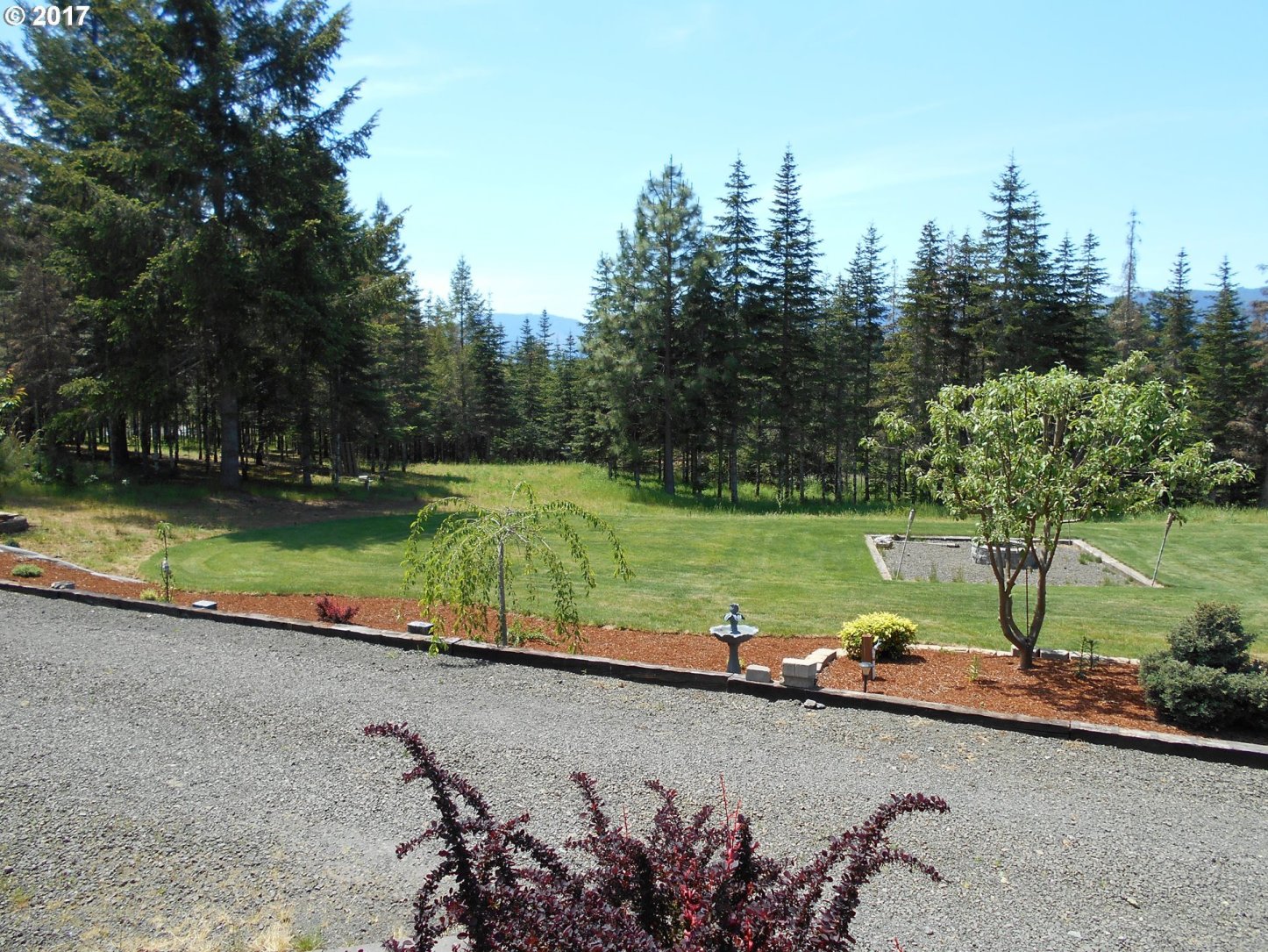 887 Quiet Mountain Road Camas Valley, OR 97416 - Photo 20 of 32 Gallery Image 20
