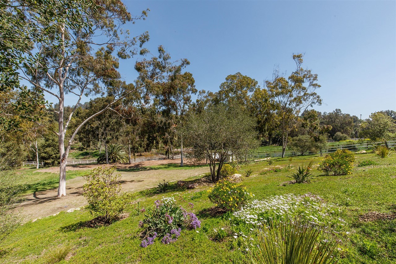 5414 La Crescenta Road Rancho Santa Fe, CA 92067 - Photo 8 of 25