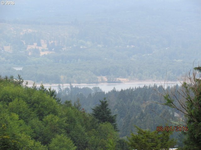 827 Sauer Road Kalama, WA 98625 - Photo 2 of 11 Gallery Image 2