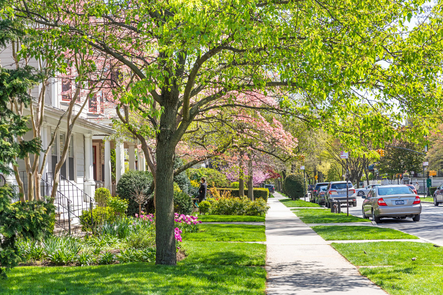 197 Rugby Road Brooklyn, NY 11226 - Photo 21 of 23