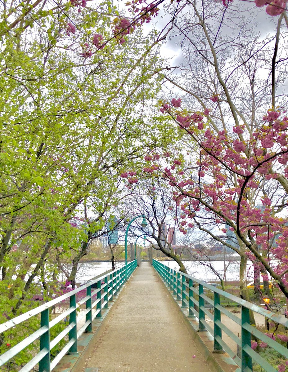 425 East 51st Street, Unit 9C Manhattan, NY 10022 - Photo 18 of 21