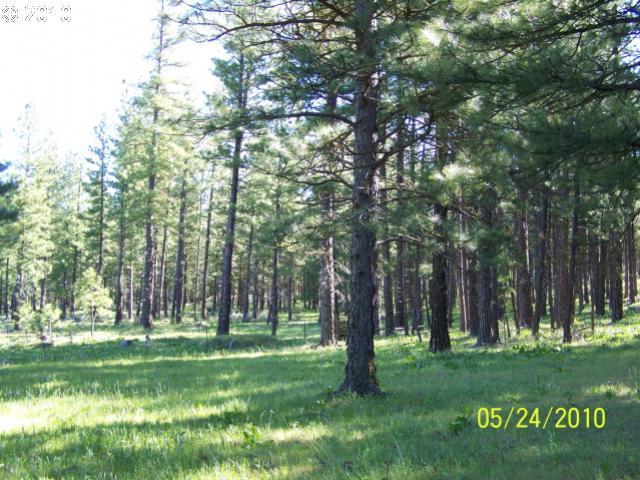 526 Winduga Road Goldendale, WA 98620 - Photo 6 of 8 Gallery Image 6