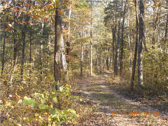 0 Luther Sharp Road Columbia, TN 38401 - Photo 3 of 12 Fall looks so good on this property! The long narrow roads leads you up to the cabin.