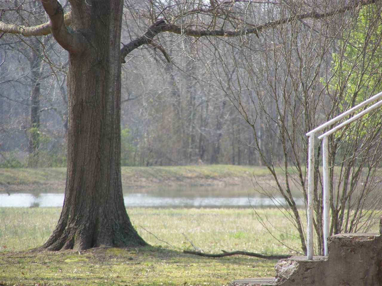 3074 Highway 57 Ramer, TN 38367 - Photo 2 of 14 Gallery Image 2