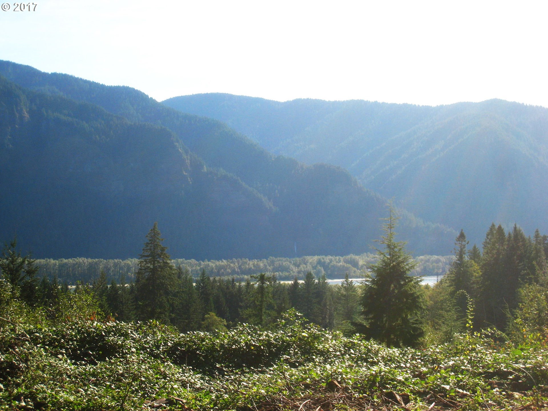 304 Duncan Creek Road Stevenson, WA 98648 - Photo 10 of 11 Gallery Image 10