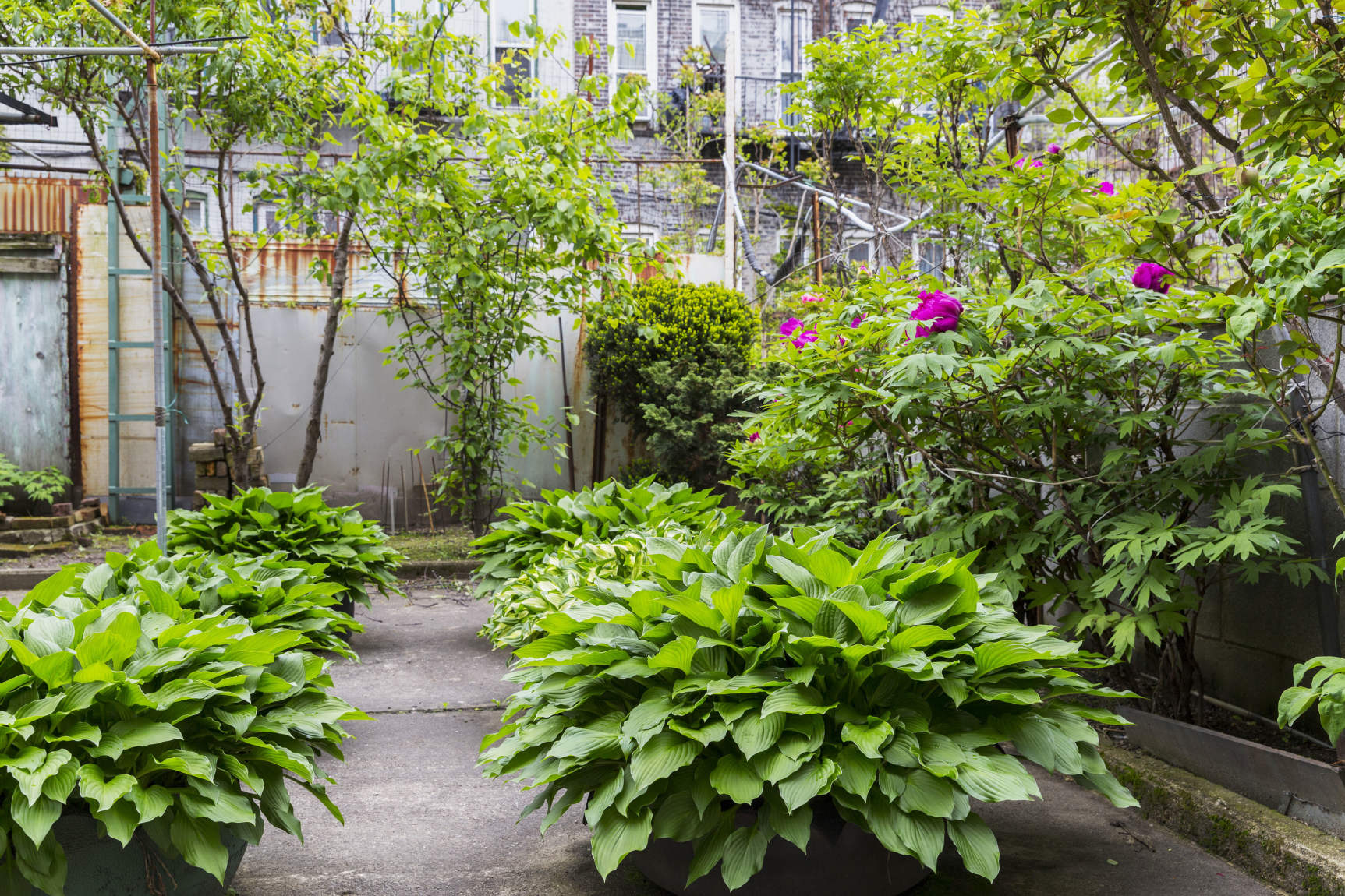 334 Bleecker Street Brooklyn, NY 11237 - Photo 3 of 5