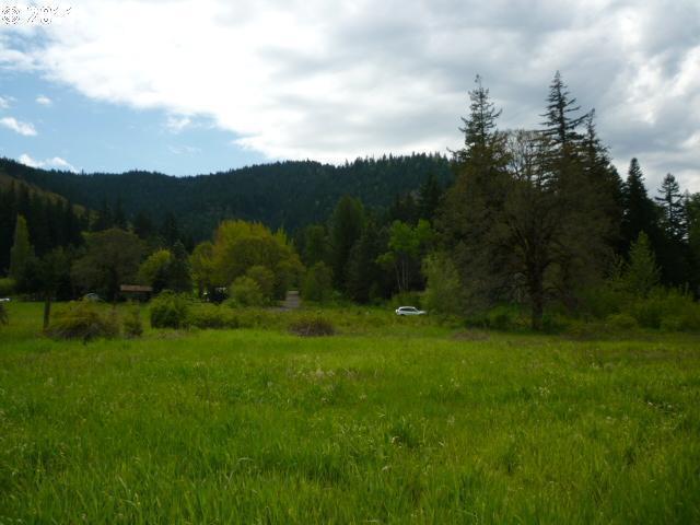 Teel Road White Salmon, WA 98672 - Photo 5 of 7 Gallery Image 5