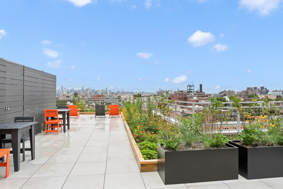 348 Nostrand Ave, Brooklyn, NY 11216 - Photo 5 of 5