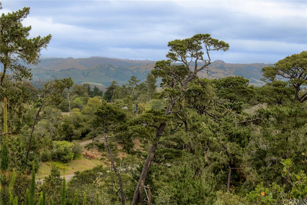 2581 Emerson Road Cambria, CA 93428 - Photo 25 of 31