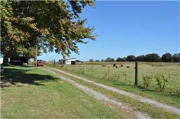 22 Clark Road Flintville, TN 37335 - Photo 8 of 18 Long driveway