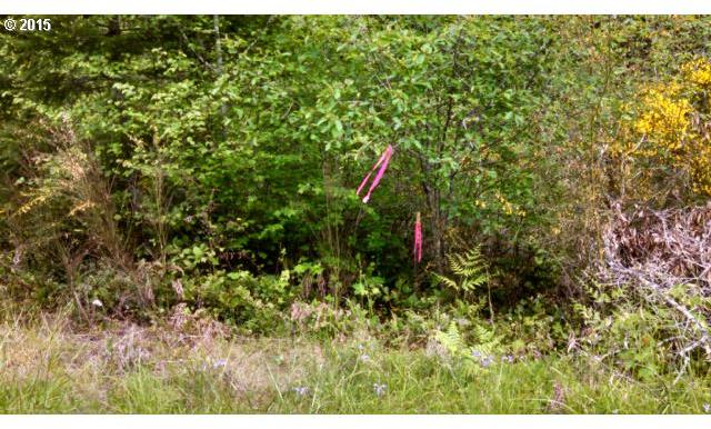 0 Fisk Road, Unit 2 Noti, OR 97461 - Photo 6 of 8 Gallery Image 6