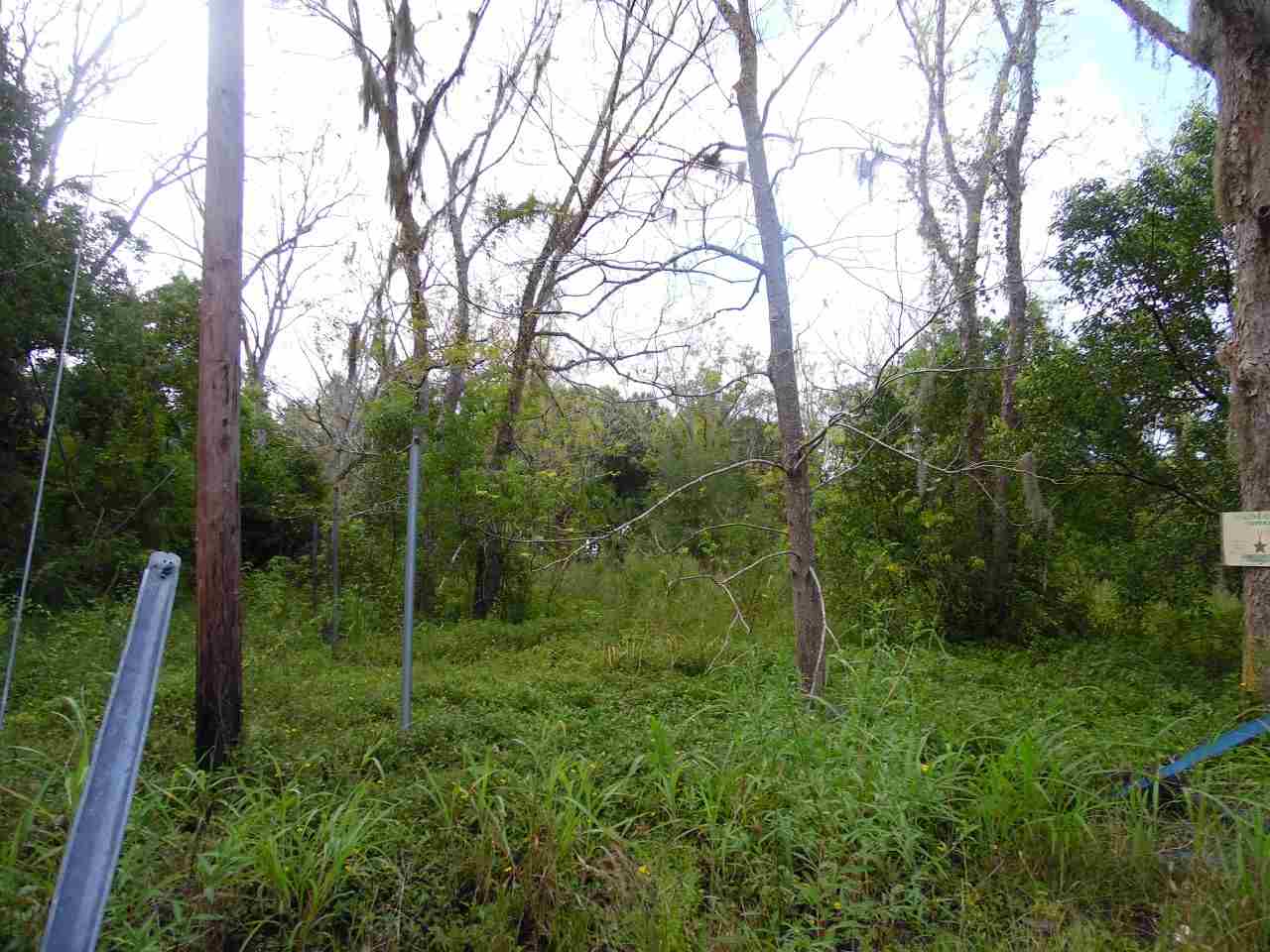5215-5235 Kelly Road Hastings, FL 32145 - Photo 3 of 9 Gallery Image 3