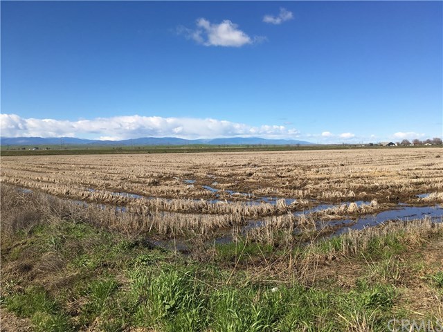 0 County D Road Willows, CA 95988 - Photo 1 of 1 Was farmed last year in Rice