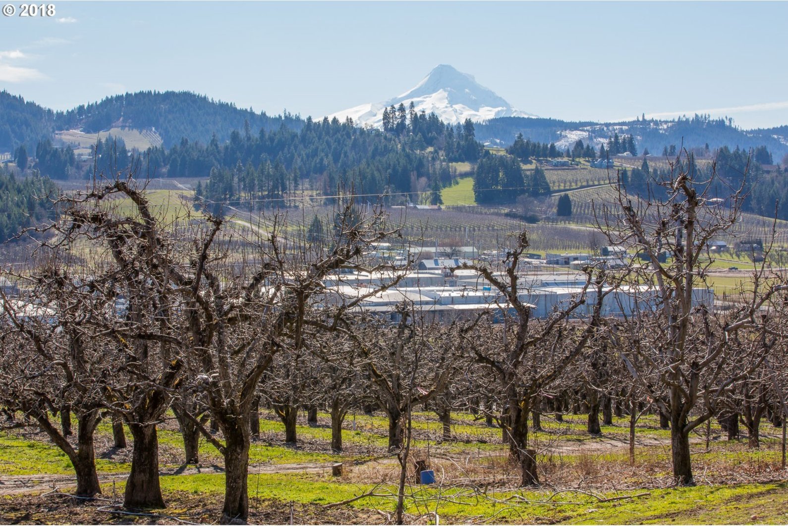 3187 Lingren Road Hood River, OR 97031 - Photo 13 of 32 Gallery Image 13