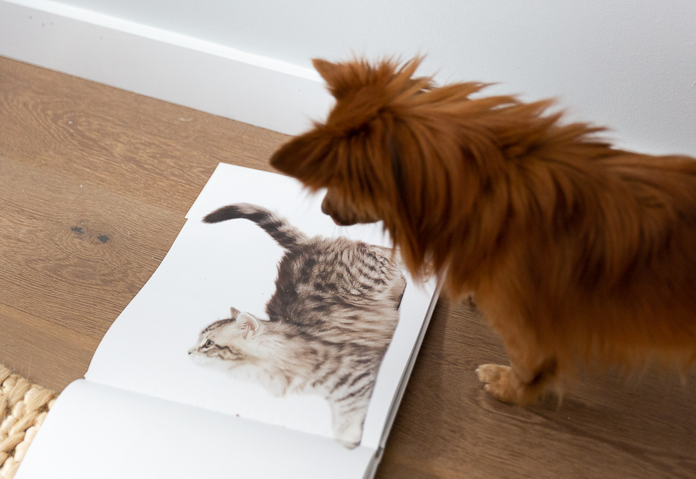 270 12th Street, Unit 2 Brooklyn, NY 11215 - Photo 13 of 17