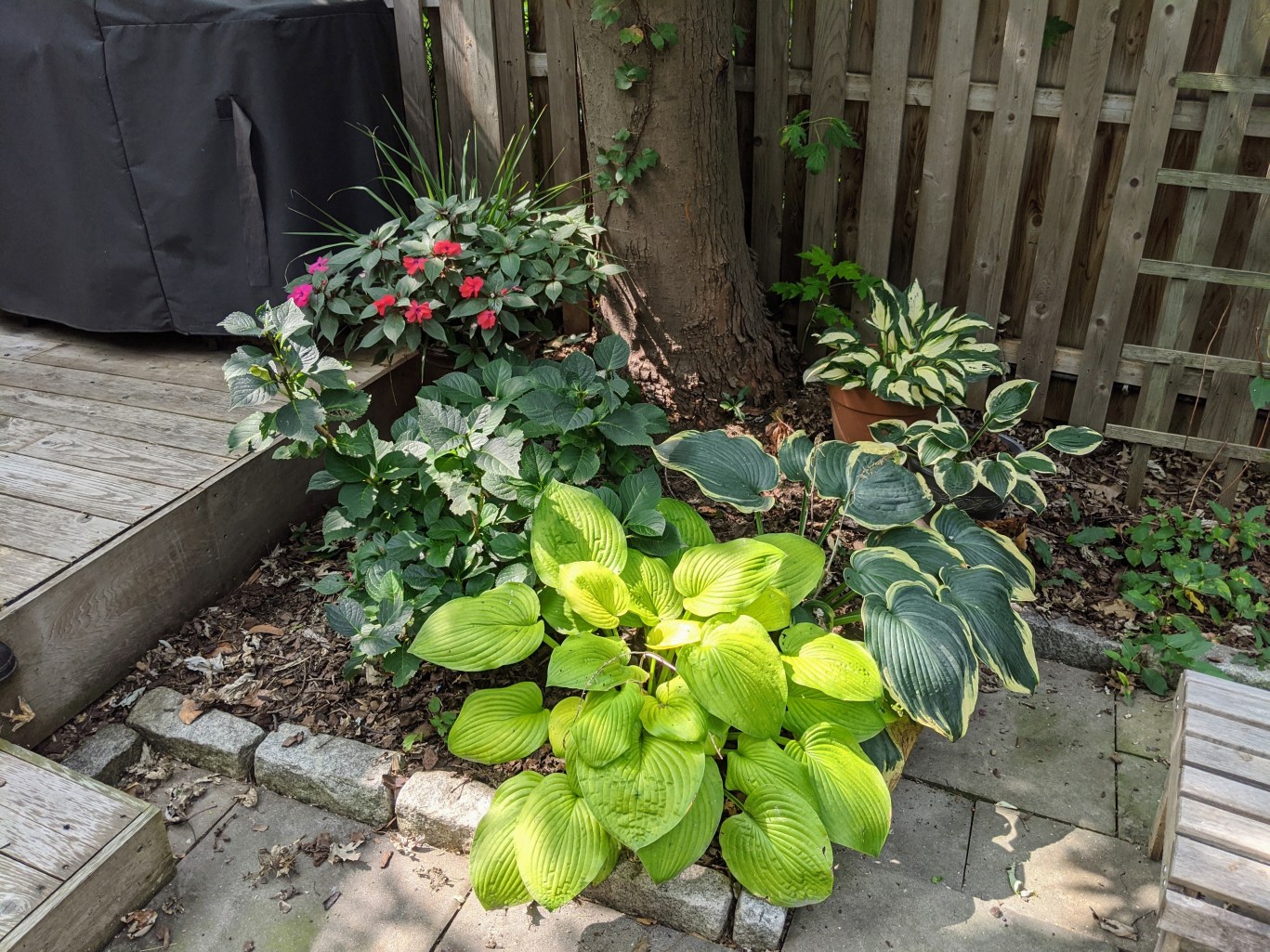 1493 Sterling Place, Unit 1 Brooklyn, NY 11213 - Photo 20 of 21