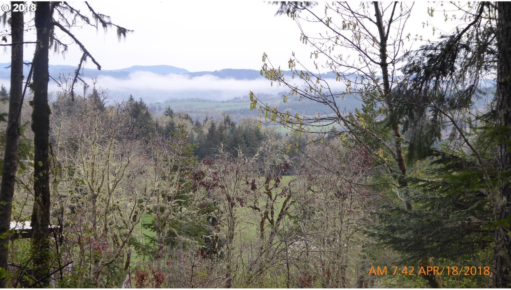 7535 Sawtell Road Sheridan, OR 97378 - Photo 4 of 32 Gallery Image 4
