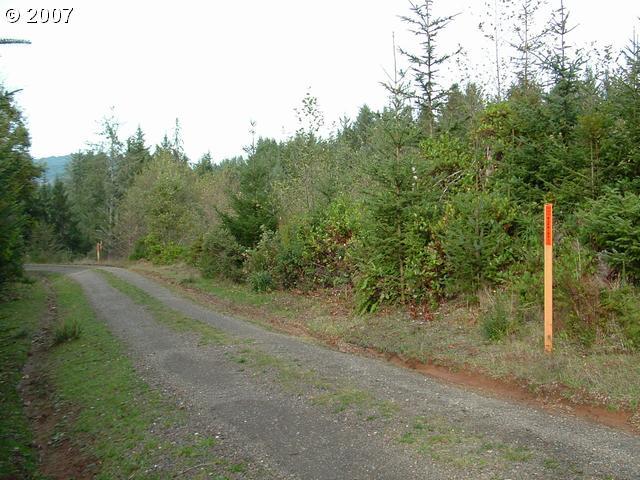Dotson Brookings, OR 97415 - Photo 2 of 10 Gallery Image 2