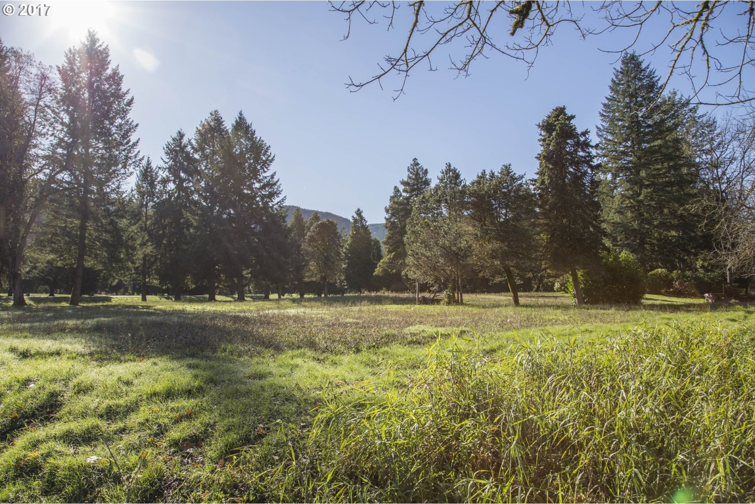 Omlid Drive, Unit 19 Springfield, OR 97478 - Photo 2 of 22 Gallery Image 2