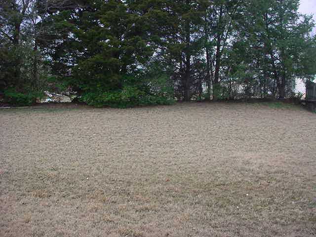 4737 Ridge Walk Lane Memphis, TN 38125 - Photo 5 of 8 Nice size backyard with privacy. Wood fenced on most sides.