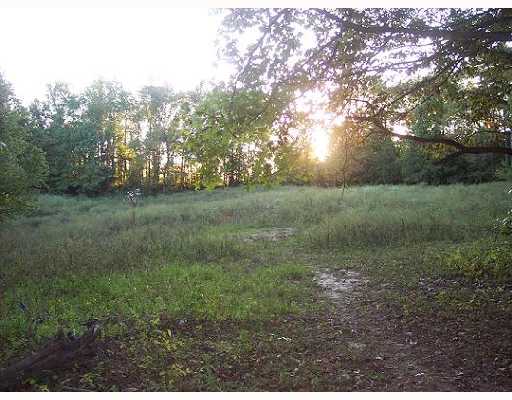 447 Jim McKenzie Road Brighton, TN 38011 - Photo 5 of 7 fenced acreage for horses