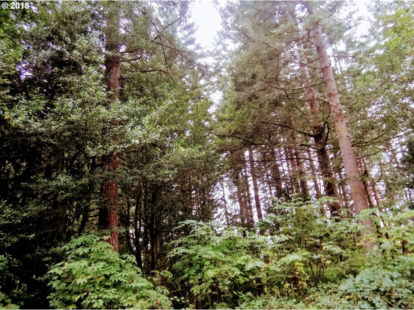 56778 Fat Elk Road Coquille, OR 97423 - Photo 31 of 32