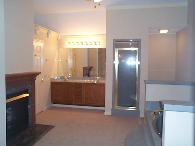 4159 Old Forest Road Memphis, TN 38125 - Photo 7 of 10 Master bath with fireplace,jacuzzi tub, shower, and 3 closets.