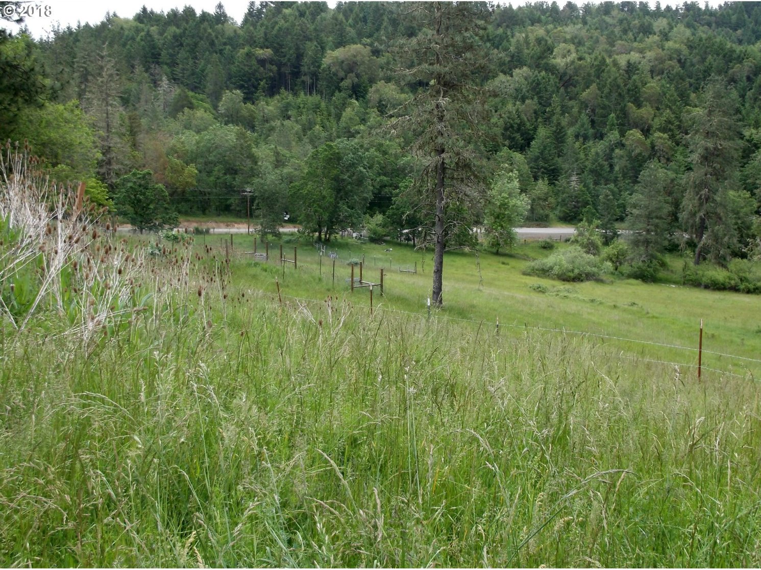 693 Hoover Hill Road Winston, OR 97496 - Photo 17 of 26