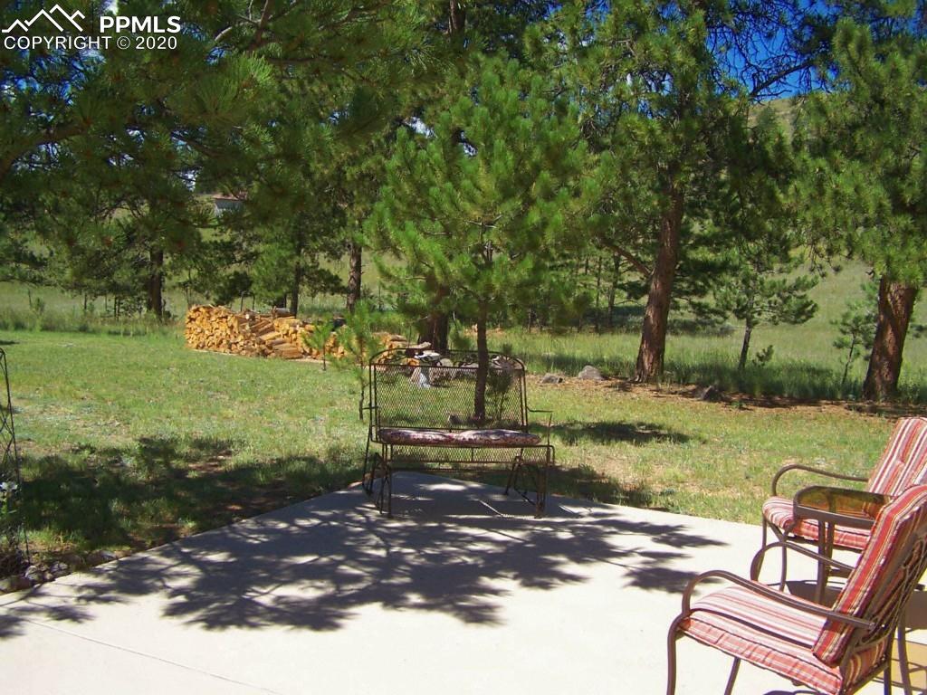 2602 Southpark Road Florissant, CO 80816 - Photo 20 of 25 Moderately Treed for Shade but can still see the Gorgeous Views