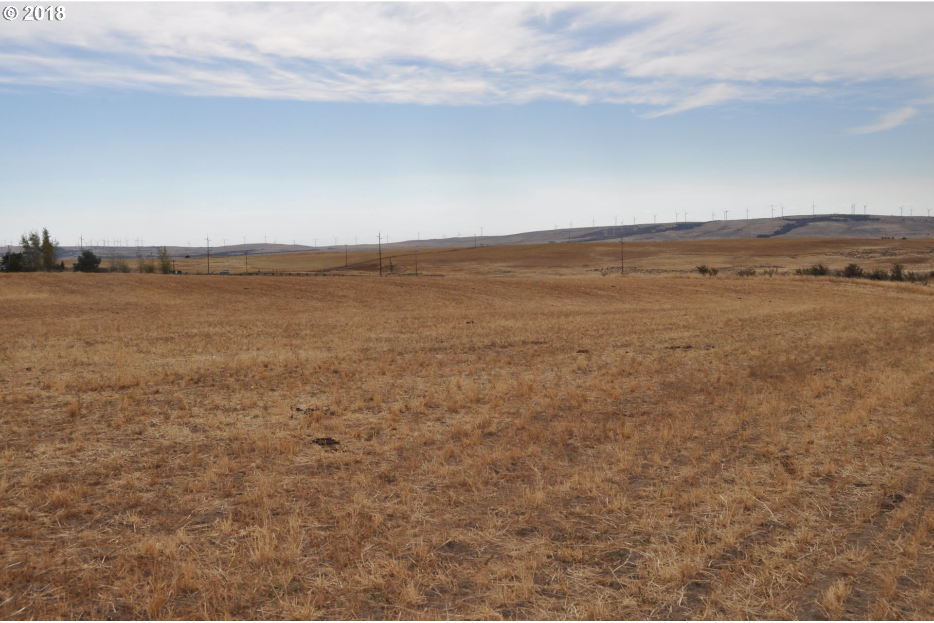 481 Bickleton Highway Goldendale, WA 98620 - Photo 2 of 9 Gallery Image 2