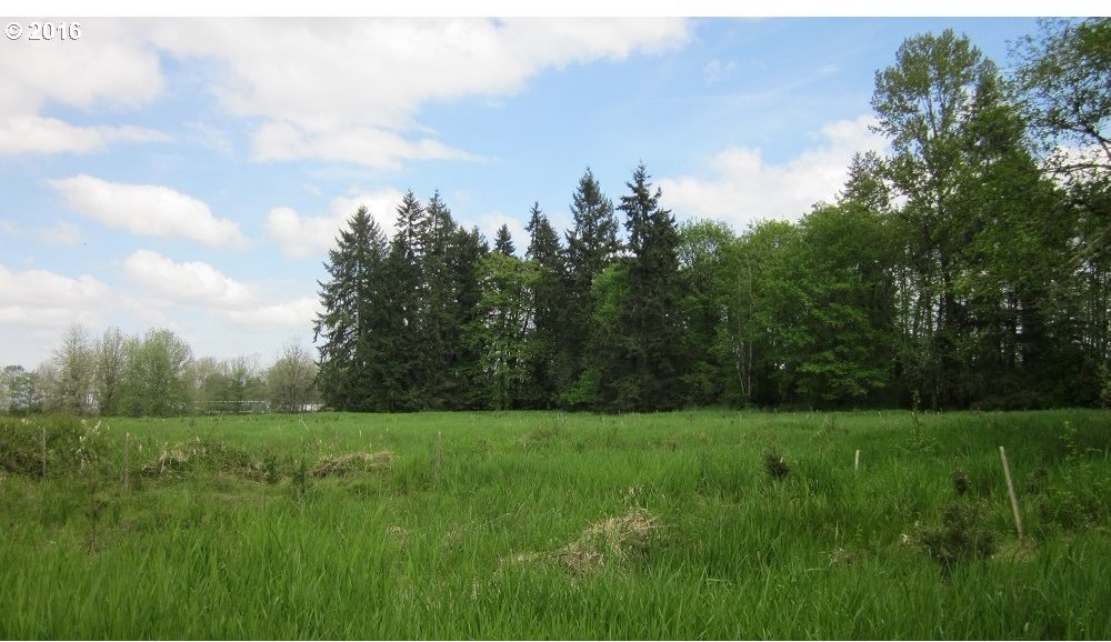 Walker Road Toledo, WA 98591 - Photo 25 of 27