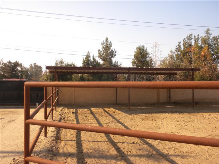 3248 Jenkins Road Bakersfield, CA 93314 - Photo 19 of 20 Horse facility with shade covers