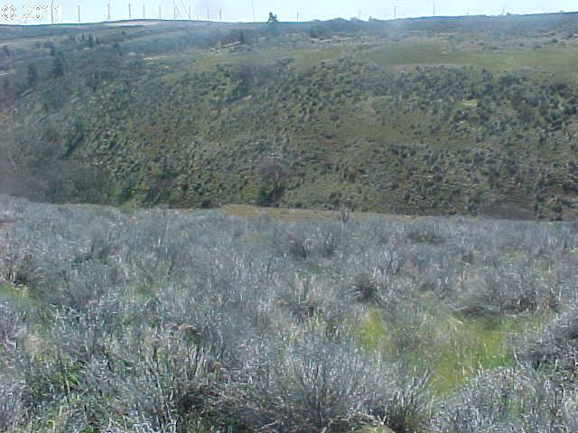 Ferguson Road Goldendale, WA 98620 - Photo 10 of 11 Gallery Image 10